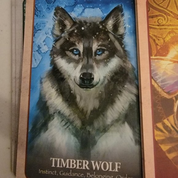 Oracle Cards The Secret Language of Animals - New - Picture 4 of 8